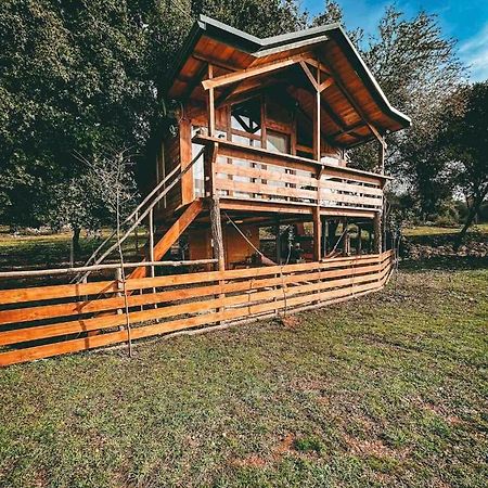 The Treehouse Of The Dragon Apartment Ioannina Exterior photo